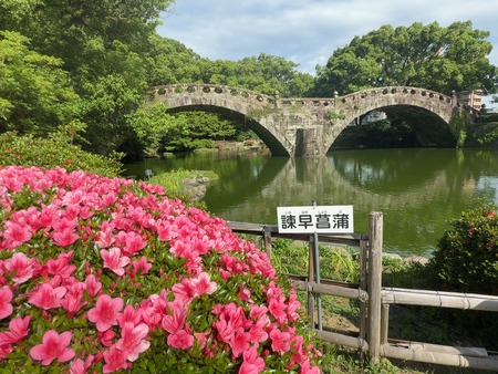 諫早公園IMG_7832