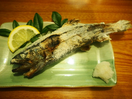 24-19-������项��Į����ޤ��ΤP8220350