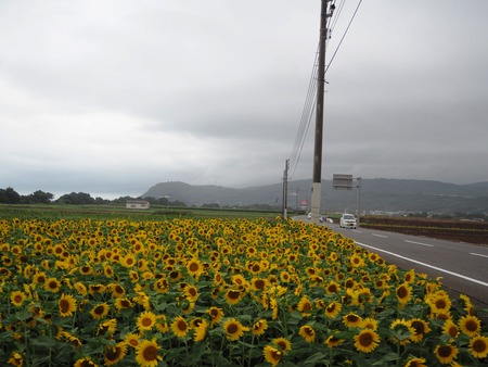 8-愛野町 国道205号線沿いP7213999