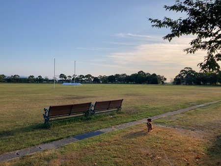 2024.09.06�������դ줢������IIMG_7693