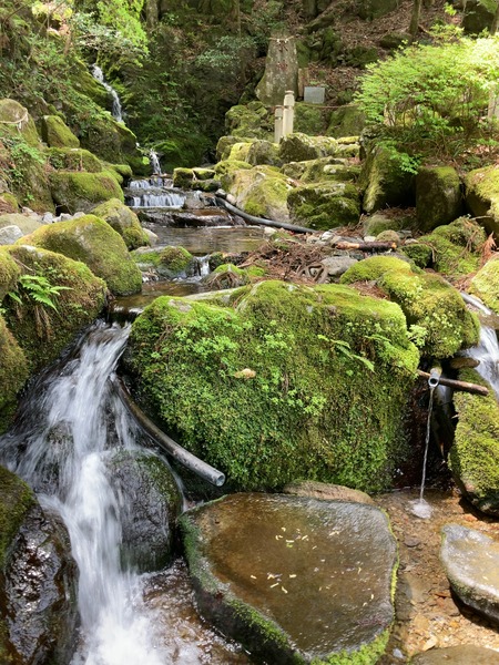 2025.07.19�����ὤ¿��ο����������IMG_1385