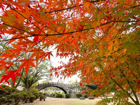 ���������IMG_6756