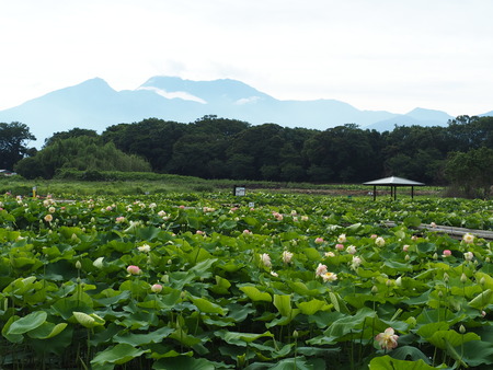 2021.06.18 ԡϥP6174247