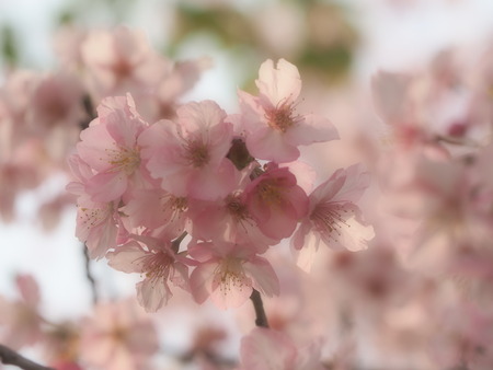 2023.03.04����¼�ԡ��׸�����P1012082