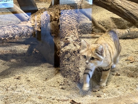 Ĺ��Х����ѡ��������ʥͥ�IMG_0237