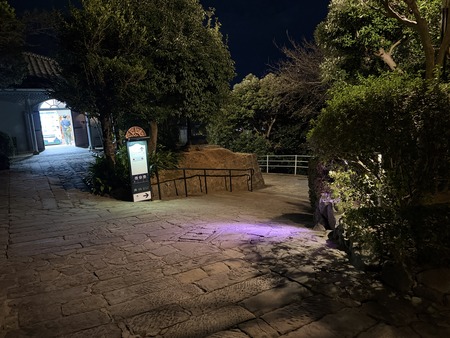 �쥹�ȥϥ������Υϡ��ȥ��ȡ���IMG_9634