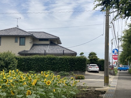 2023.06.26 大村市古賀島町 じゅ蘭前ひまわりIMG_2575