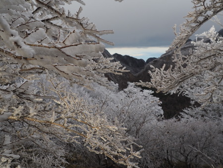 2022.12.03 ±ÀÀç¿ÎÅÄÆ½¡¢Ì¯¸«³Ù¡¡Ì¸É¹P1011769