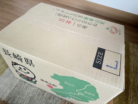 ���������IMG_8251