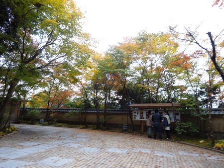 u-4DSC03717