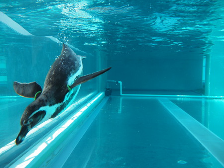 2021.11.14 �����ݻԡ��彽����ư��ʪ�ࡡ�������PB136581