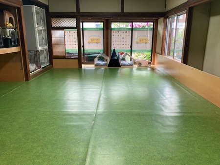 2022.05.20 大村市松山町 庭カフェIMG_6079