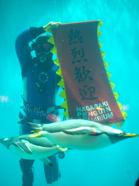 Ĺ��ԡ�Ĺ��ڥ󥮥��²��P2142211