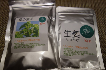 5-長崎市琴海 ともながハーブDSC08020