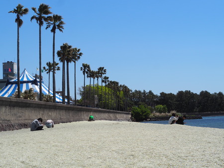 2023.04.19 ��¼�ԡ����ɥɥ꡼�ॵ������P1013414