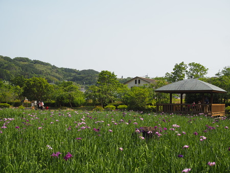 2024.05.25 佐々町 皿山公園P5256679