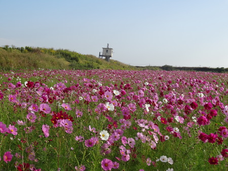 si-27DSC02019