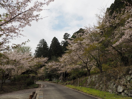 2023.04.01 雲仙市国見町 烏兎の杜P1011350