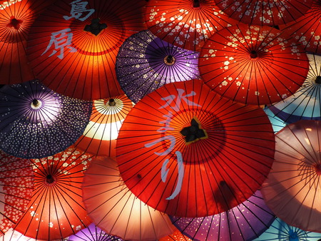 2024.08.25���縶��ޤĤ�P8250230