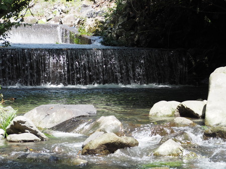 2022.07.26 諫早市 富川渓谷バンガローP7172745