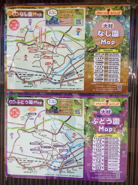 2025.08.16¡¡Âç¼»Ô¡¡¥Õ¥ë¡¼¥Ä¤ÎΤ¤Õ¤¯¤·¤²IMG_1947