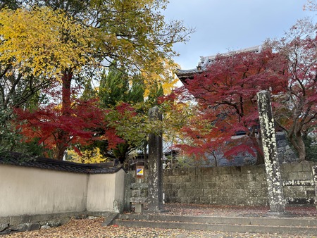 �¾�������IMG_6769