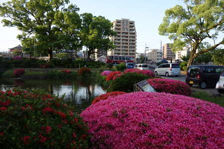 3-諫早公園DSC07330