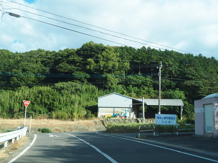 6-南島原市加津佐町 大地牧場のひまわり畑P8126281