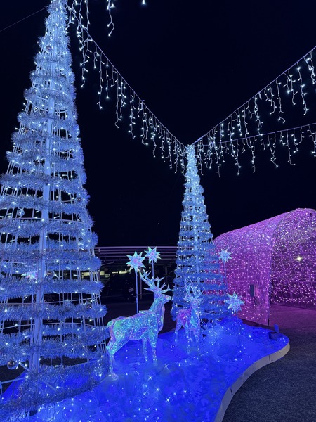 ��������¼ŹIIMG_7978