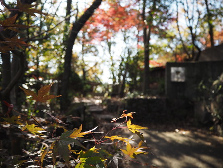 7-諫早市森山町 ア アラ ハーバル バー長崎PC052495