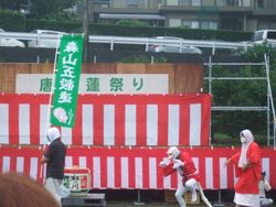 hasu-2DSCF9020