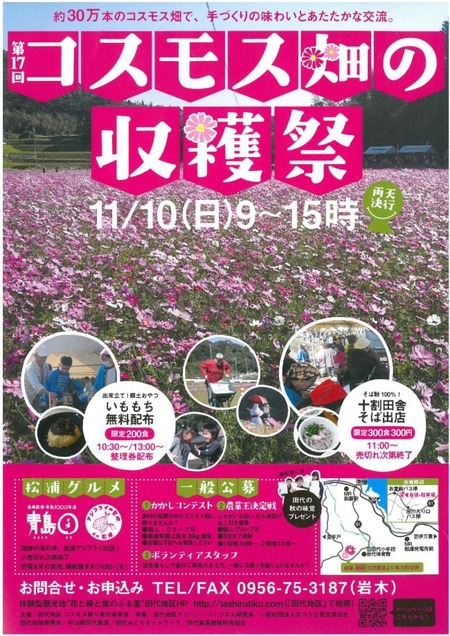 コスモス畑の収穫祭