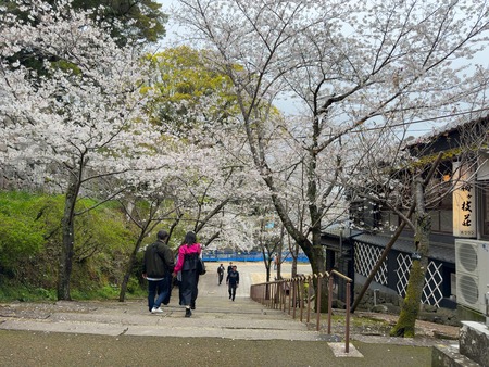 ��¼�ԡ��ߥ�����IMG_7005