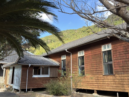 Ⱦ�񶵲�IMG_5059