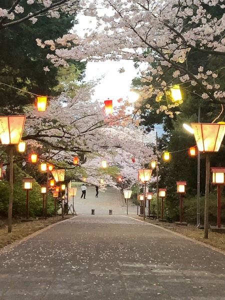 2024.04.03 雲仙市橘神社IMG_8486