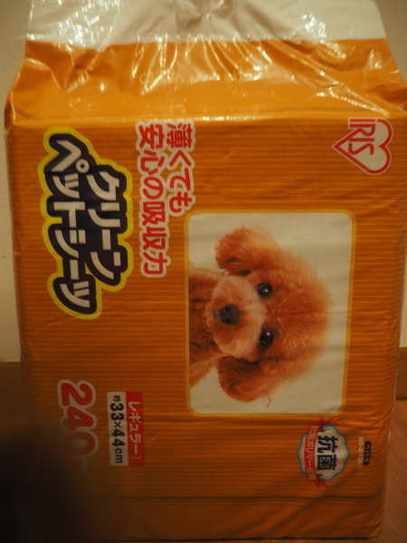 2021.11.07 コストコ熊本御船店PB066051