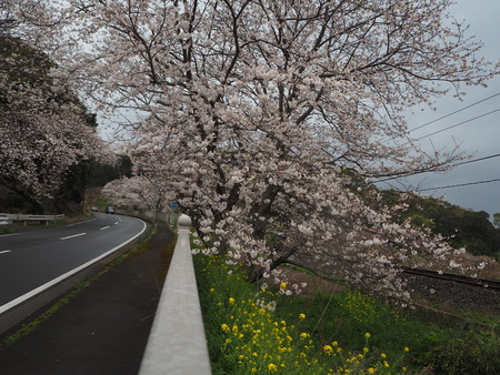 16-�����¿�ɸ�Į������Х���κ�����P3203861