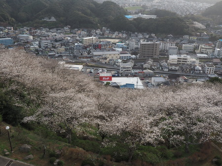 2023.03.25 長与町 中尾城公園P1019030