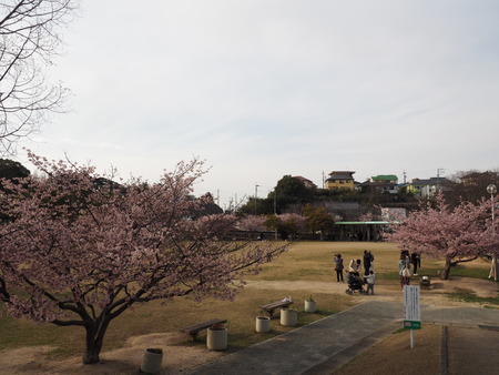 2023.03.04����¼�ԡ��׸����ࡡ�᥸��P1012042