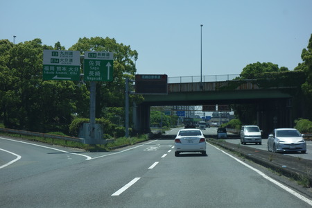 1-¤È¤¹ÌÍÇ·²ðDSC06409