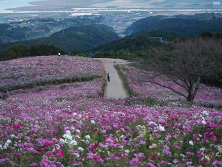 4−白木峰高原 夕方PA201125