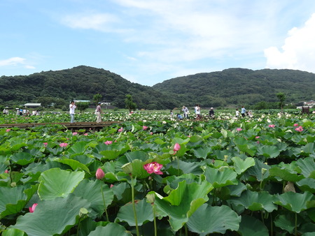 7-DSC03863