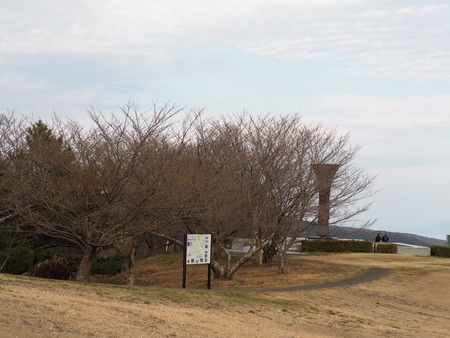 �������⸶�κڤβ֡��Х��Υ�˥�������κ�P3151528