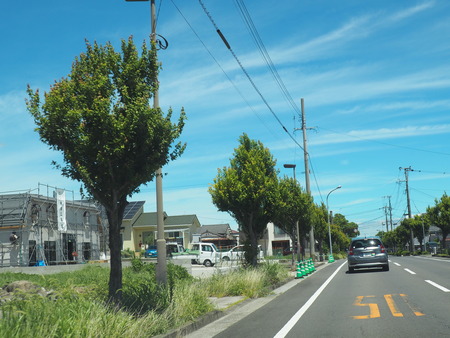 2022.07.31 ����ȥ졼���縶ŹP7303732