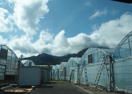 2023.03.18 南島原市深江町 ふくはちファーム-P1016923