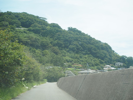 2021.08.09�����������Į�����ե�O-2P7219515