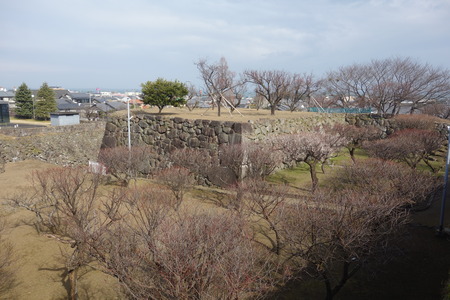 1-島原梅園DSC09493
