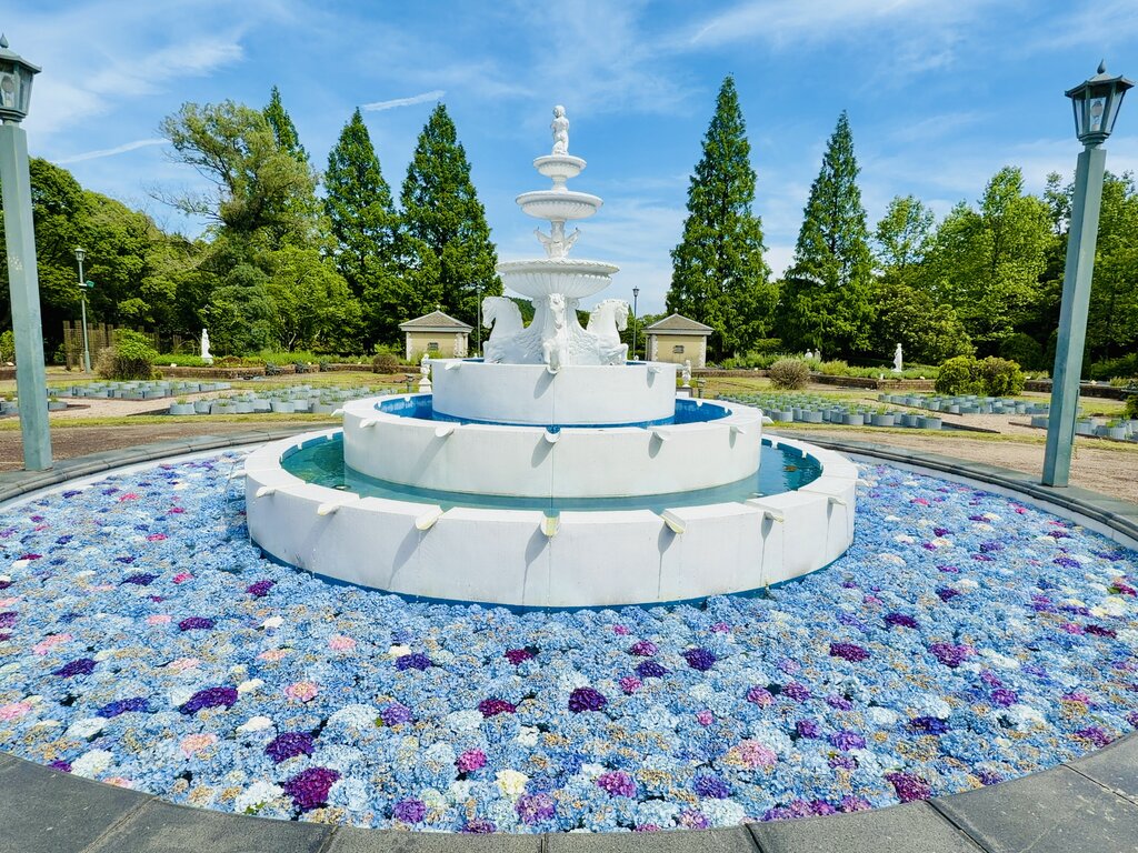 2026 2日間だけ！あじさい花手水の景色「山茶花高原ピクニックパーク
