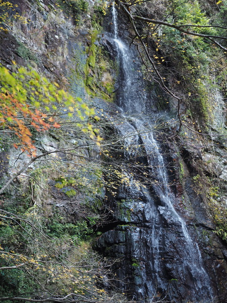 ����Թ���Į�����ή����������PB261727