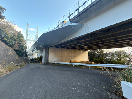 Ĺ��ԡ��������IMG_9352_cleanup